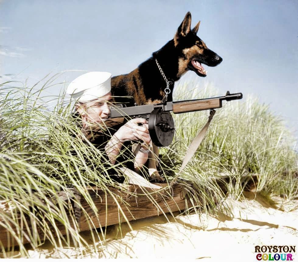 #77 Dog Beach Patrol’, (possibly on Parramore Beach, Virginia, US. October 1943)