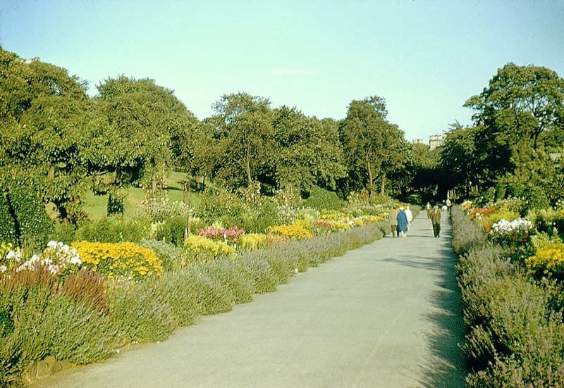 #20 Gardens, Kelvingrove Park, 1961