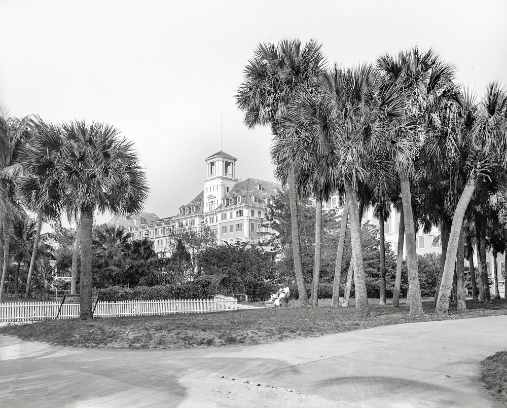 A glimpse of the Royal Poinciana. An entrance to Henry Flagler’s immense resort hotel, back when Florida was starting to be a thing. Palm Beach circa 1901