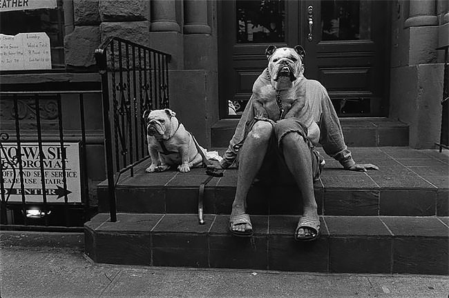 Funny Vintage Photos Taken At Just The Right Moment Funny