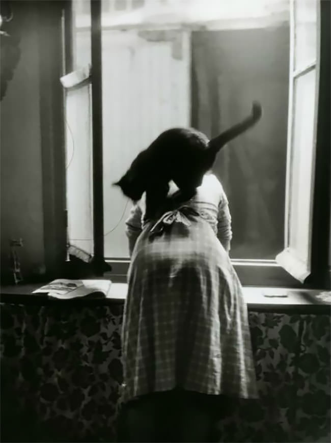 Funny Vintage Photos Taken At Just The Right Moment Funny