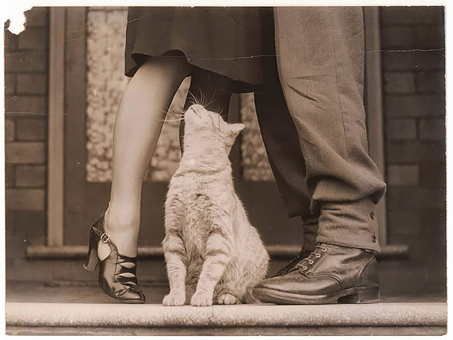 Funny Vintage Photos Taken At Just The Right Moment Funny