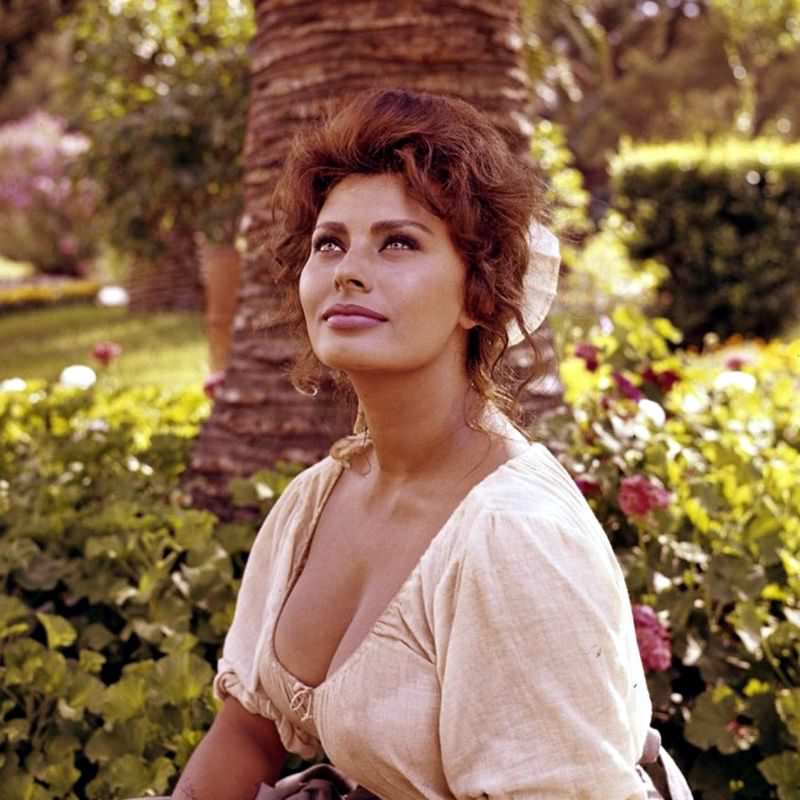 Beautiful Sophia Loren On The Set Of Madame, 1961 Celebrities