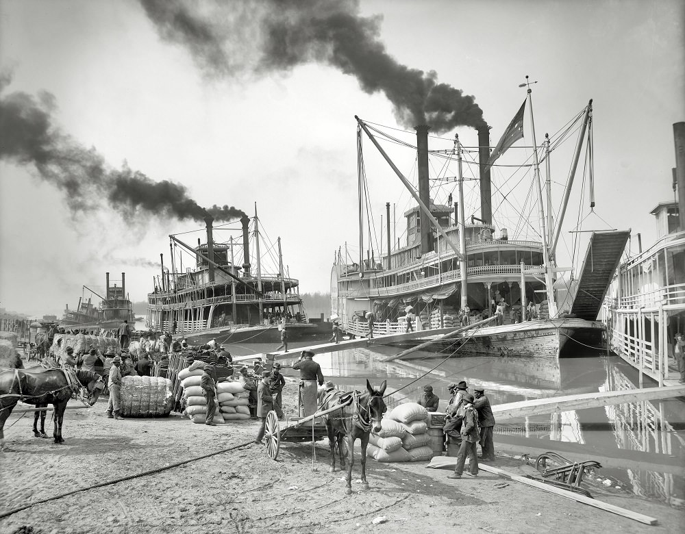 #8 Steamboat landing at Vicksburg, 1906
