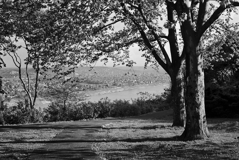 #11 Looking across the Ohio River from Eden Park toward Bellevue, Kentucky, May 1939