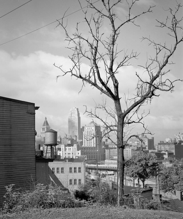 #17 View of downtown Cincinnati, 1938