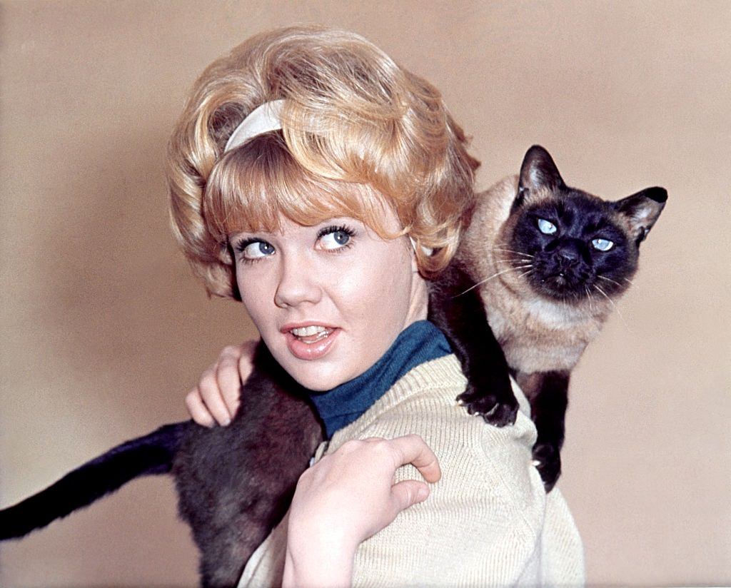 Hayley Mills on the set of “That Darn Cat”, 1965
