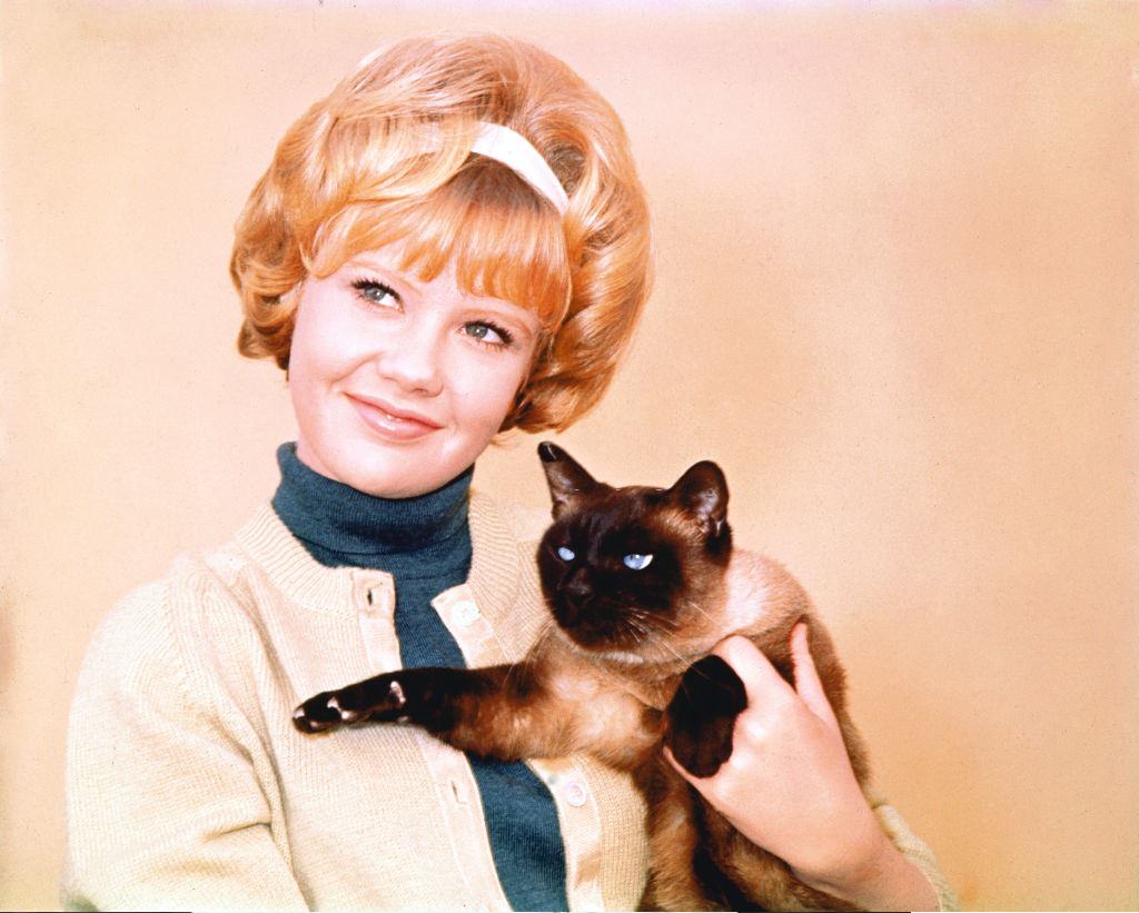 Hayley Mills wearing a blue polo neck jumper beneath a yellow cardigan for ‘That Darn Cat!’, 1965