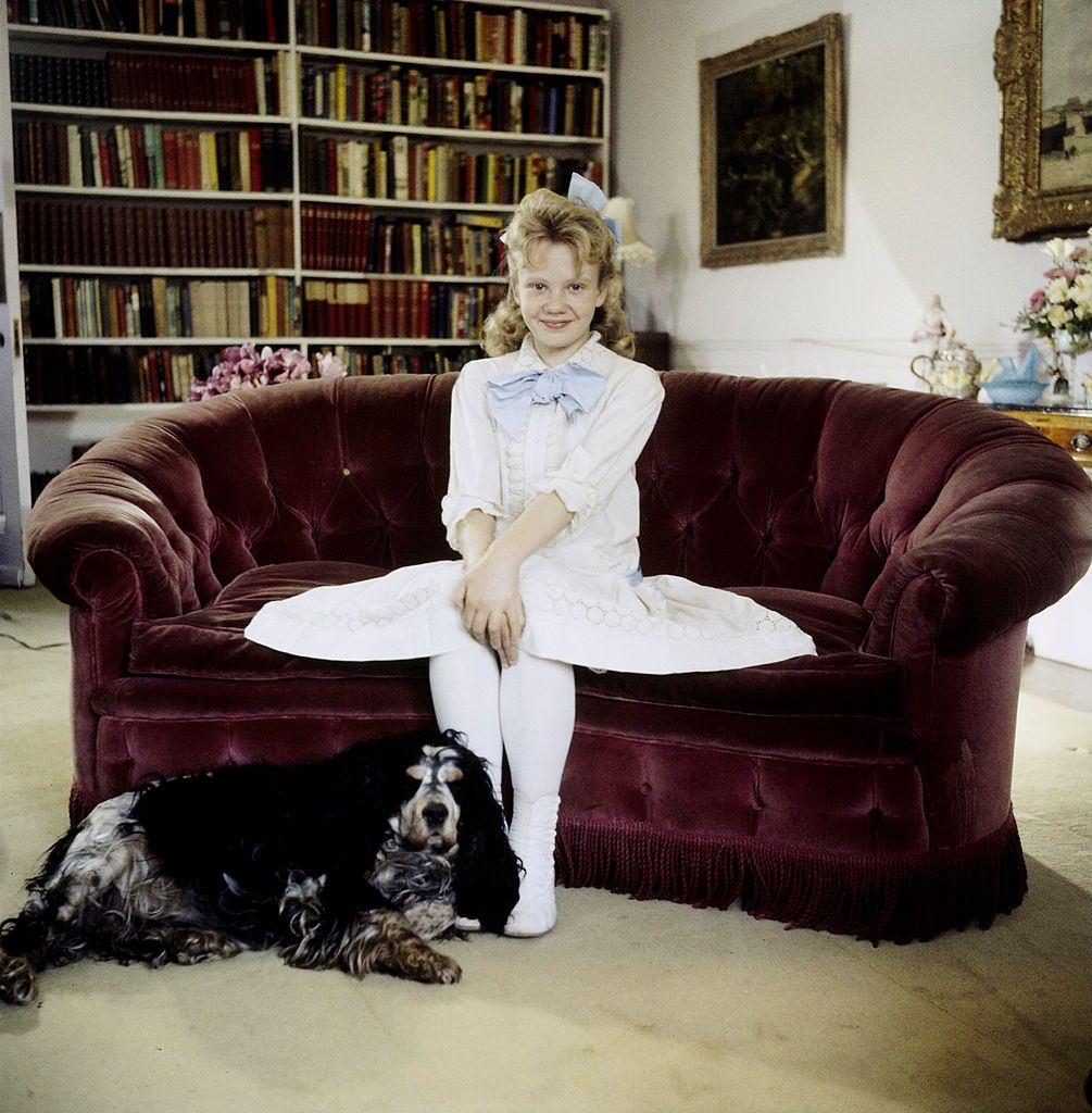 Hayley Mills in old-fashioned dress with spaniel at time of making film Pollyanna.