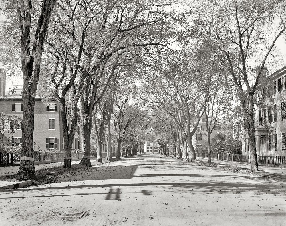 #14 Chestnut Street, Salem, Massachusetts, circa 1906