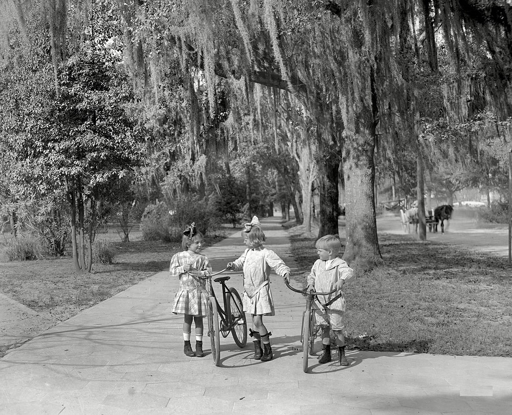 #15 Entrance to Riverside Park, Jacksonville, 1910