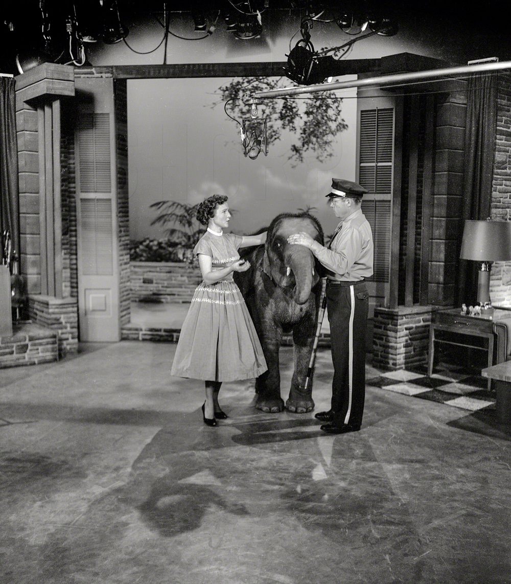 #13 Betty White with elephant on her daytime TV show, Los Angeles, 1954