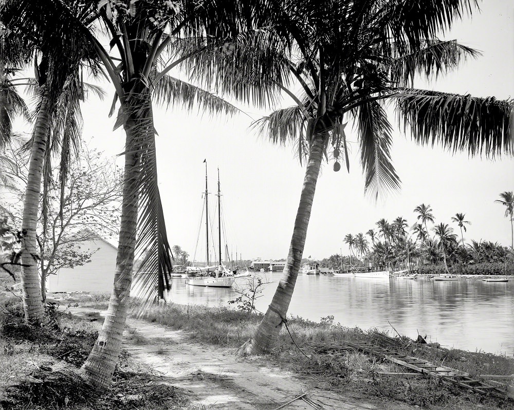 #21 On the Miami River, 1904