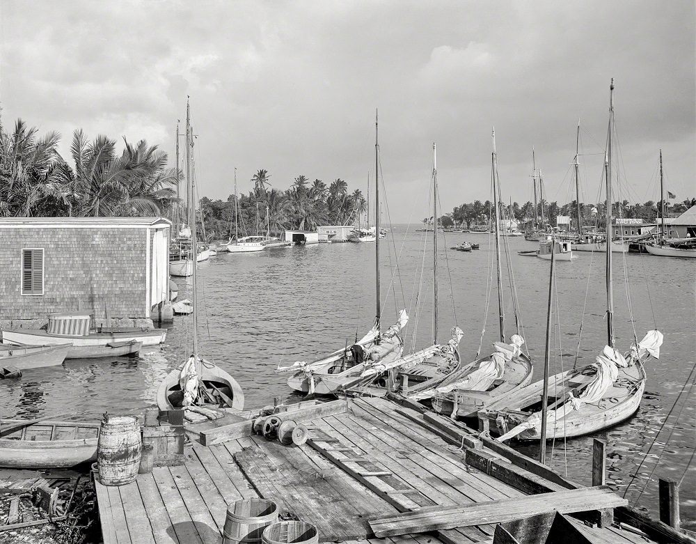 #32 Mouth of the Miami River and Biscayne Bay, Miami circa 1910