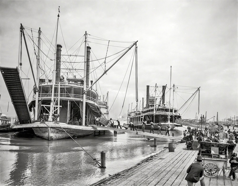 #41 Maison Blanche, Canal Street, New Orleans circa 1910