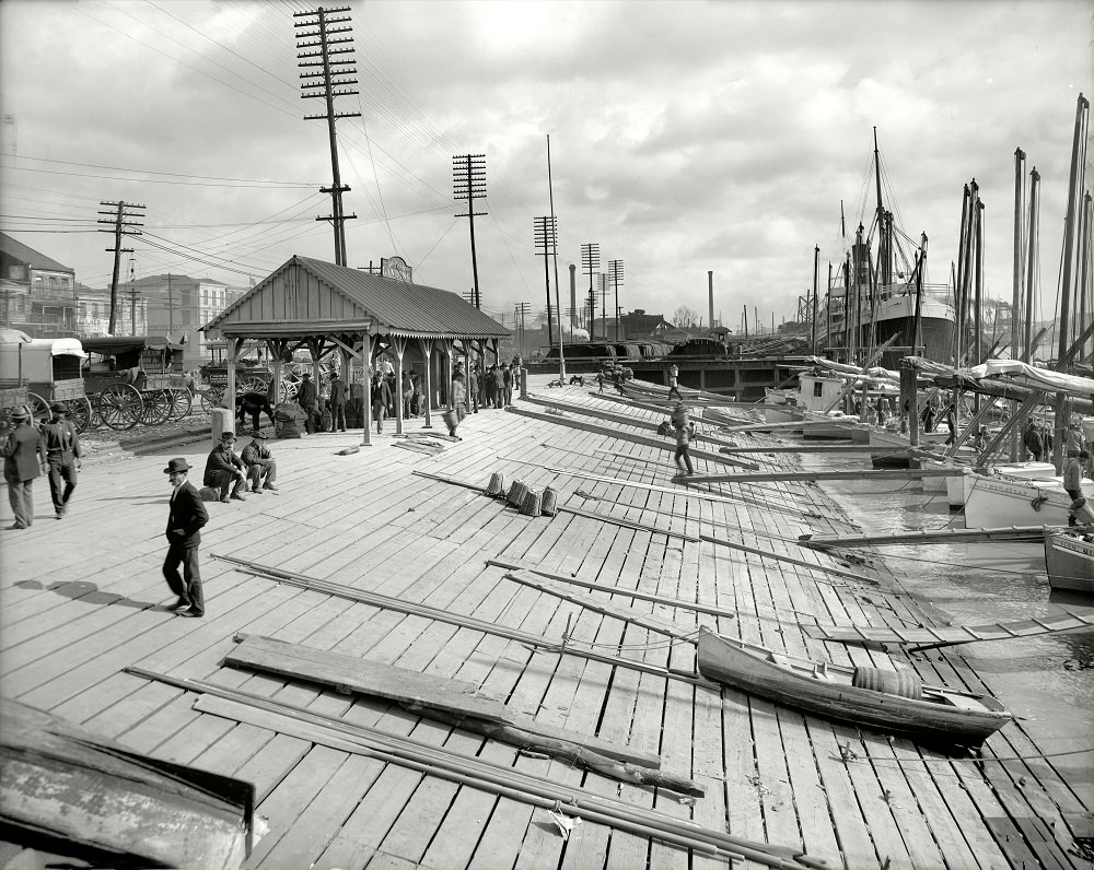 #52 Oyster luggers at New Orleans, along the Mississippi, 1906