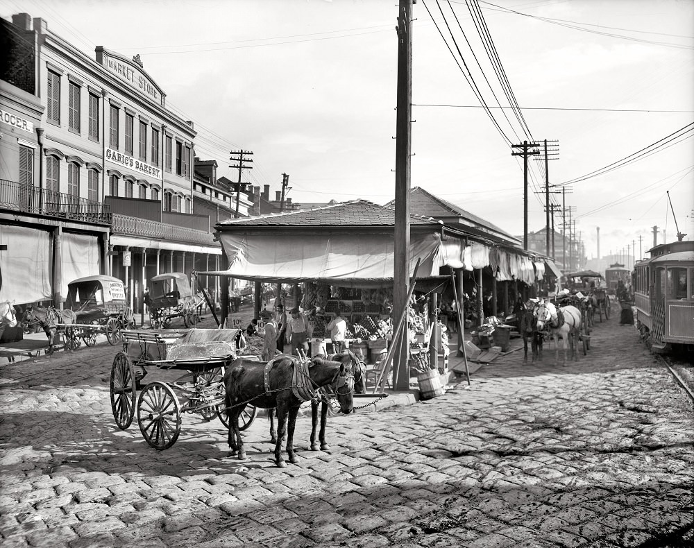 #57 The French Market, New Orleans, The Crescent City circa 1906