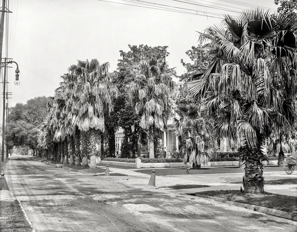 #4 St. Charles Avenue, New Orleans, Louisiana, 1910