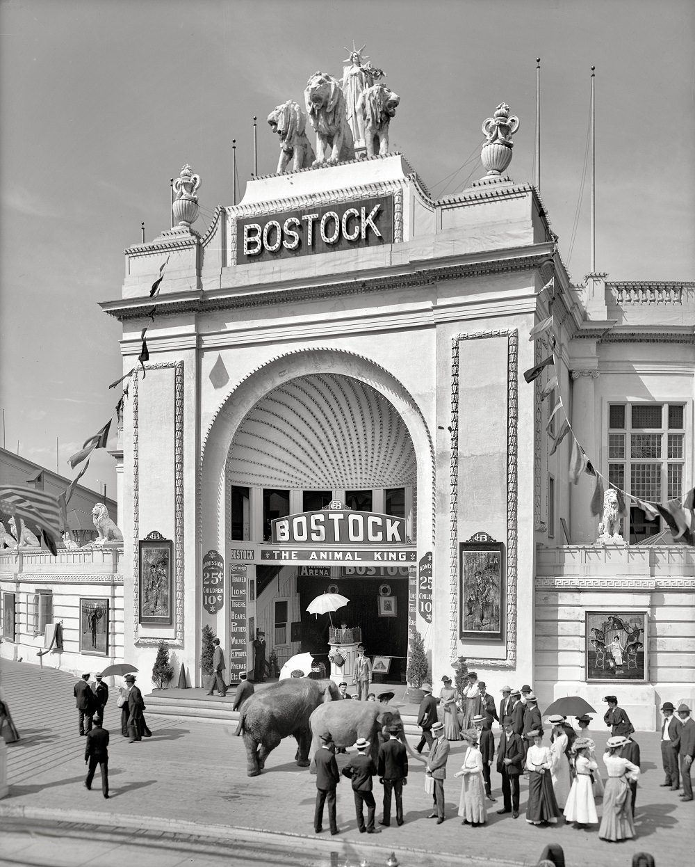 #51 Bostock, Dreamland, Coney Island, New York circa 1905