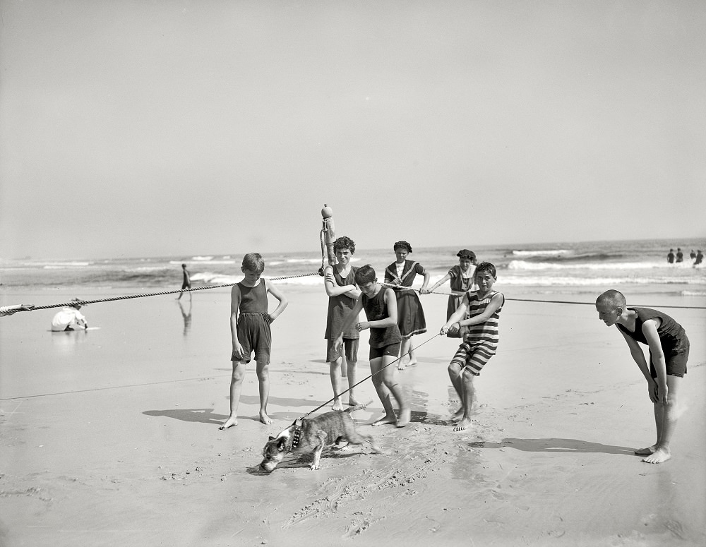 #27 Bulldog on the beach, Coney Island, New York circa 1905
