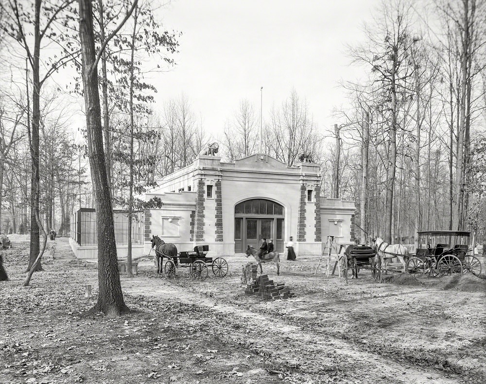#2 Lion house, Carnivora Building, Overton Park Zoo, Memphis, 1910