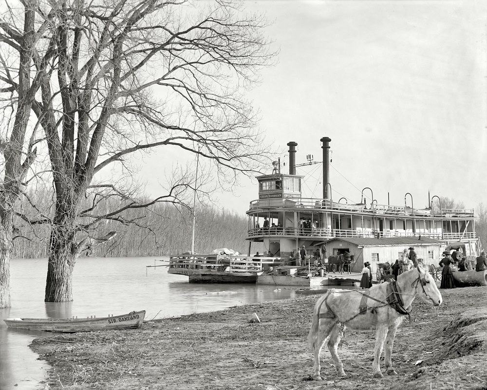 #34 River packet Charles H. Organ landing at Mound City, Memphis, Tennessee, circa 1910