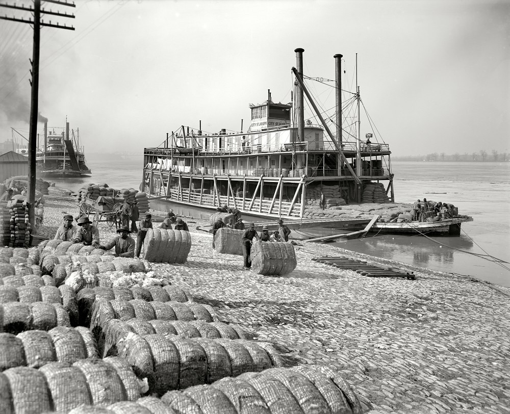 #35 Unloading cotton, Memphis, Tennessee, circa 1910