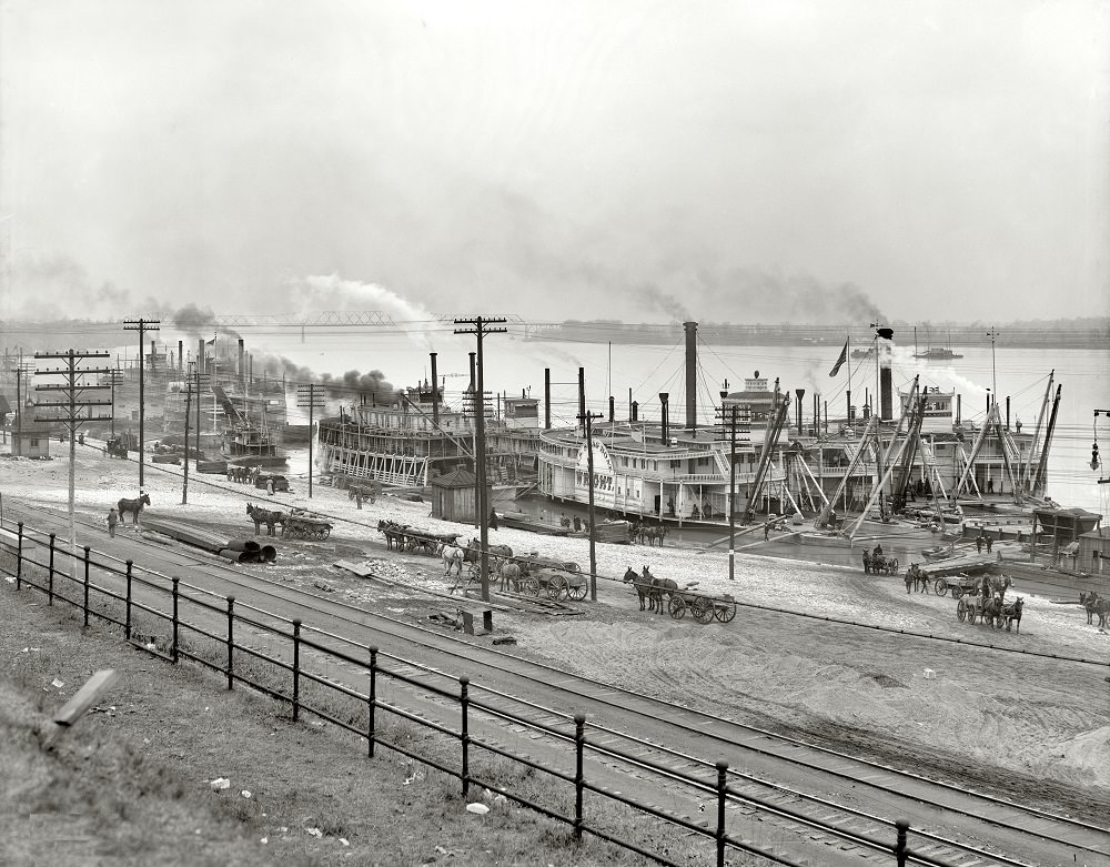 #15 Mississippi River levee from the bluff, Memphis, June 1938