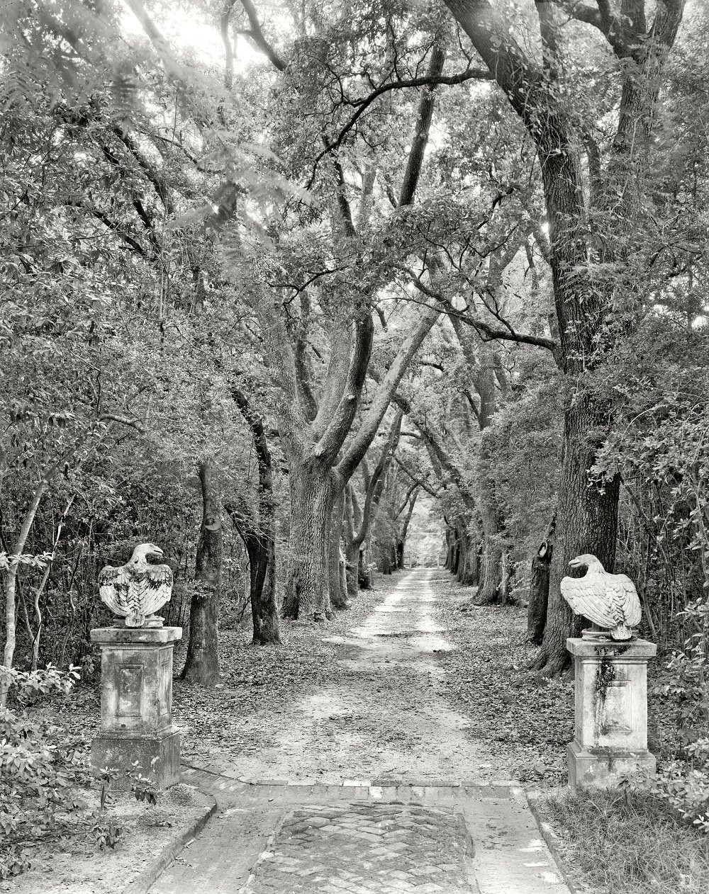 #4 Driveway looking away from William A. Dawson House, Mobile, Alabama, 1939