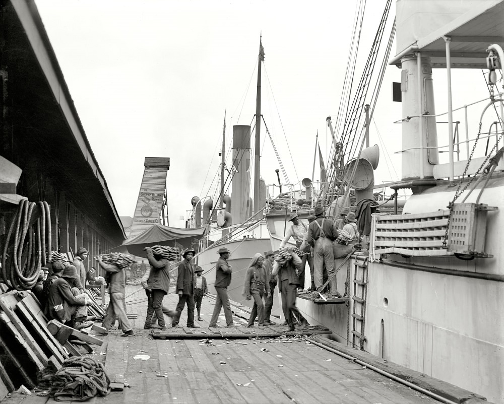 #19 Unloading a banana steamer, Mobile, Alabama, 1906