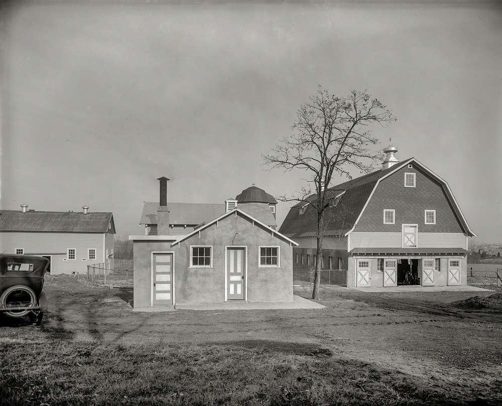 #48 Chestnut Farms Sanitary Dairy, Philadelphia, 1925