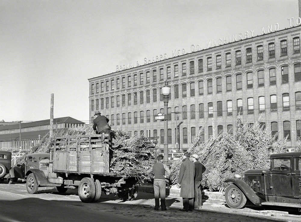 #11 Christmas trees for sale at the market, Providence, Rhode Island, December 1940