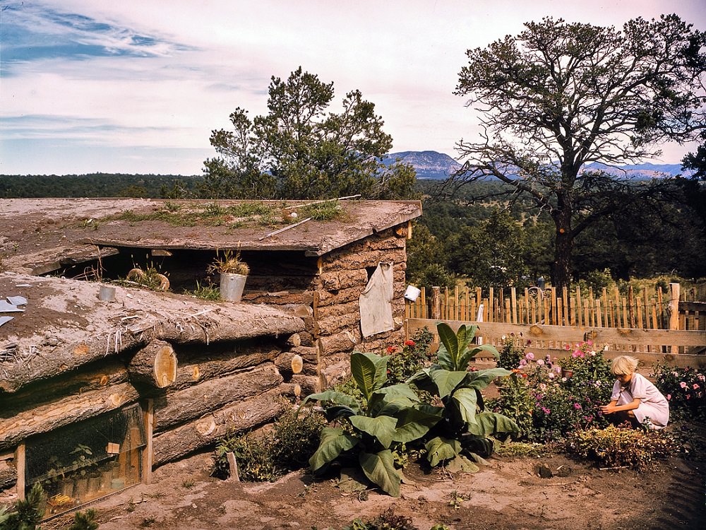#26 Garden and dugout home of Jack Whinery, homesteader at Pie Town, New Mexico, September 1940