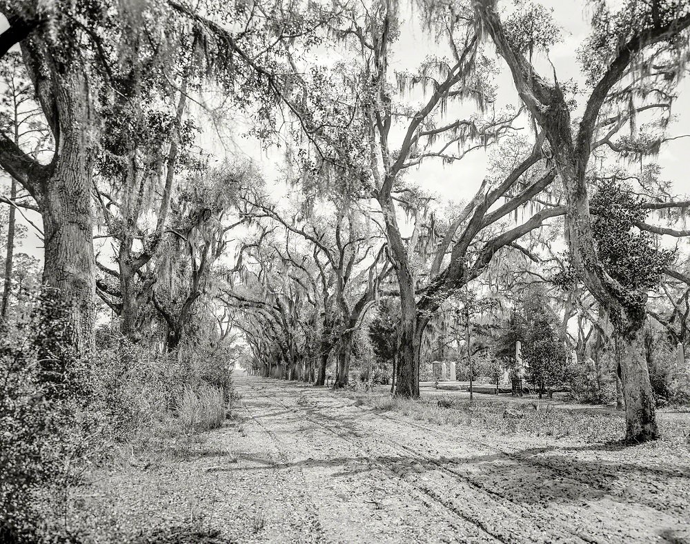#2 Bonaventure Cemetery, Savannah, Georgia, 1901