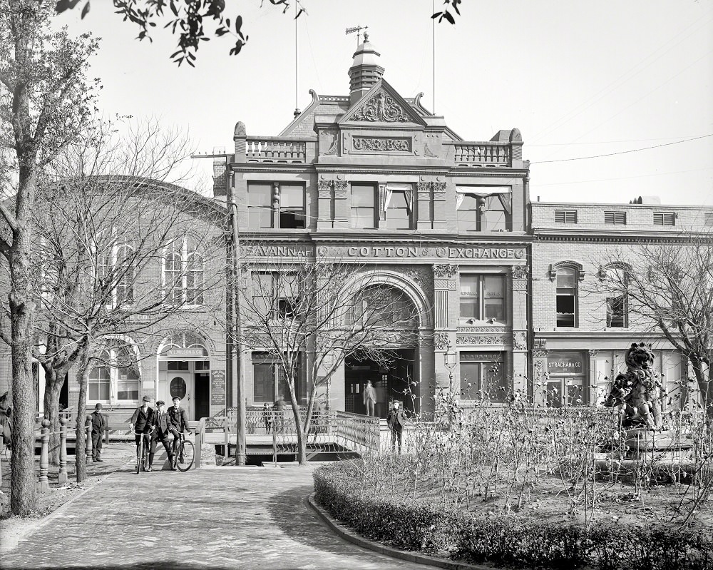#14 Note cotton-themed fountain landscaping and juvenile welcoming committee, Savannah Cotton Exchange, 1904