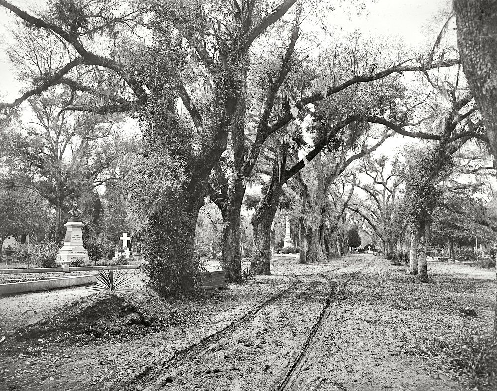 #40 Bonaventure Cemetery, Savannah, 1901