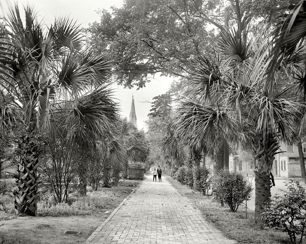 #24 Colonial Park, Savannah, Georgia, 1907