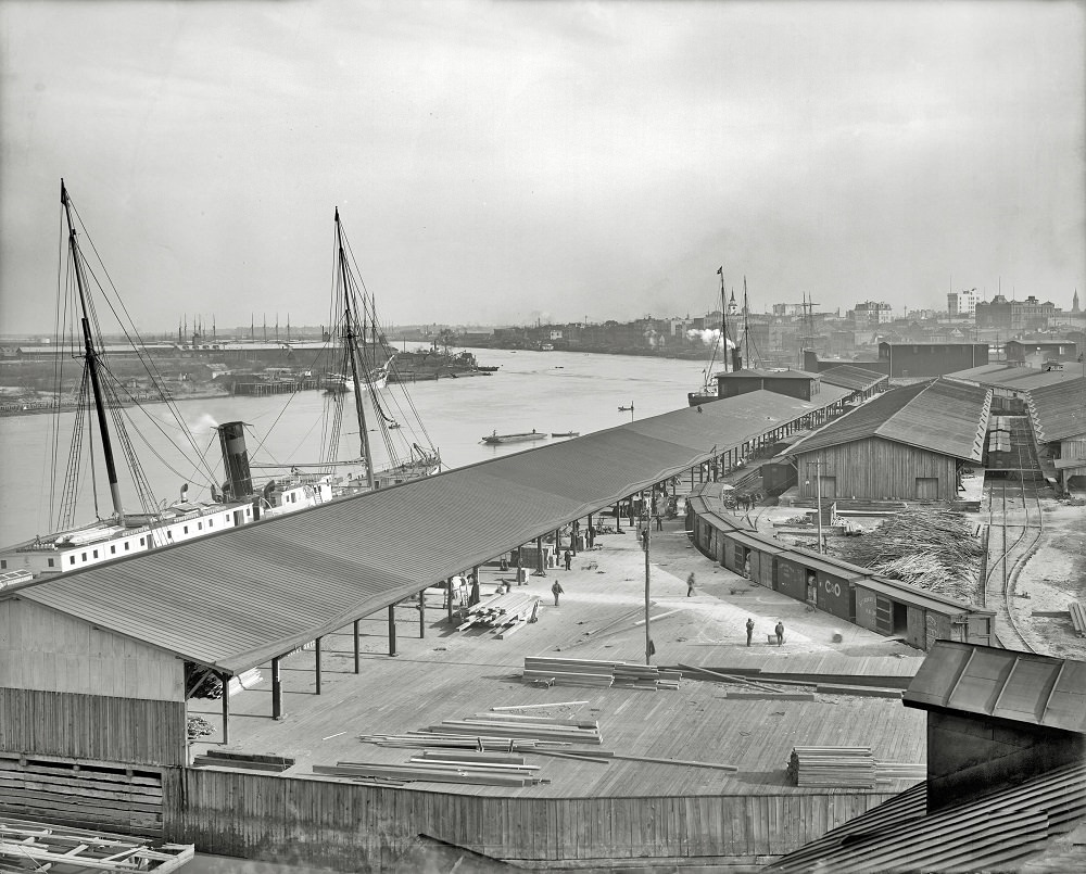 #45 Down the river, Savannah, Georgia, 1906