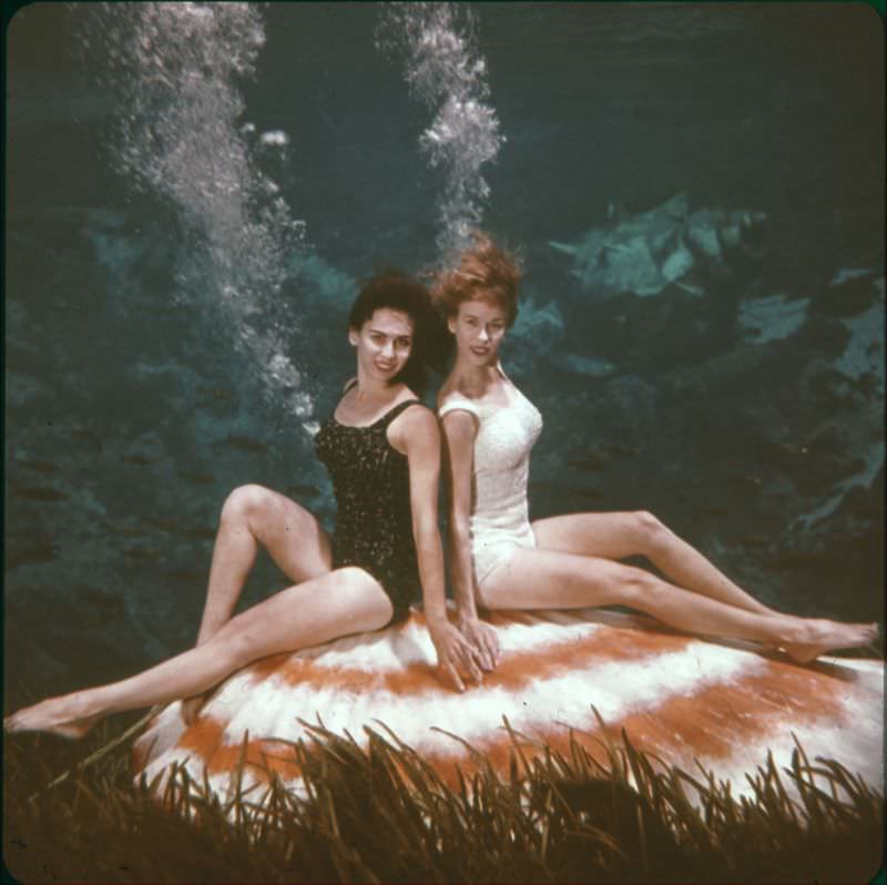 #10 Mermaids on half-shell