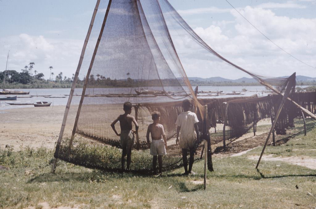 #11 Boys stand among fishing nets, Brazil, 1950s