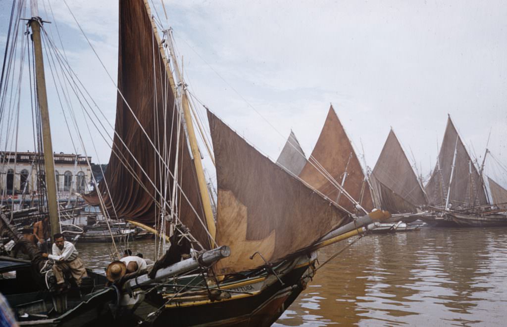 #29 Sailboats, Brazil, 1957