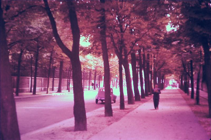 #41 Avenue Marigny, Aug. 7, 1955