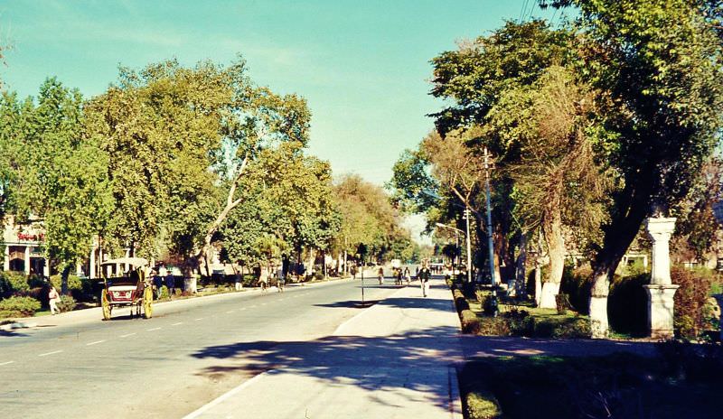 #16 The leafy streets and houses for the wealthy, Peshawar, 1960s