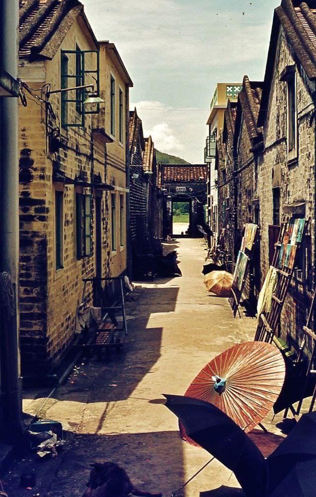 #5 Kat Hing Wai Walled Village, Hong Kong, 1970s