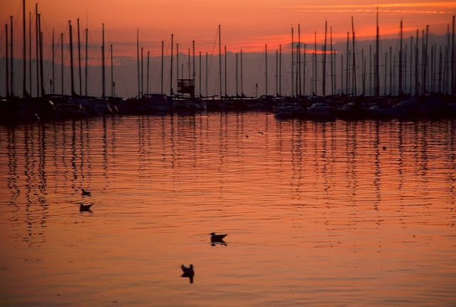 #52 Lake Léman in Lausanne, Switzerland, 1980s