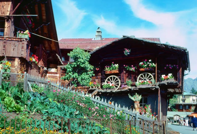 #5 Mürren garden, Switzerland, 1980s