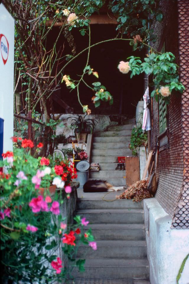 #40 Steps between two buildings on the main road through Alpnachstad, Switzerland, 1980s