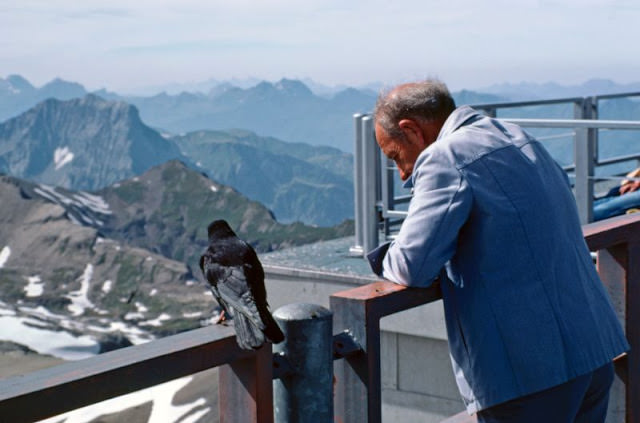 #6 A man and a bird stare down from the Piz Gloria on the Schilthorn, Switzerland, 1980s