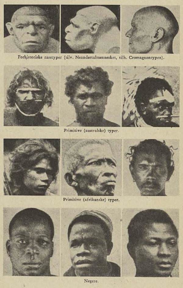 Photographs of “human races,” organized to suggest a common trait shared by “primitive” Australians, Africans, and Neanderthals., 1939