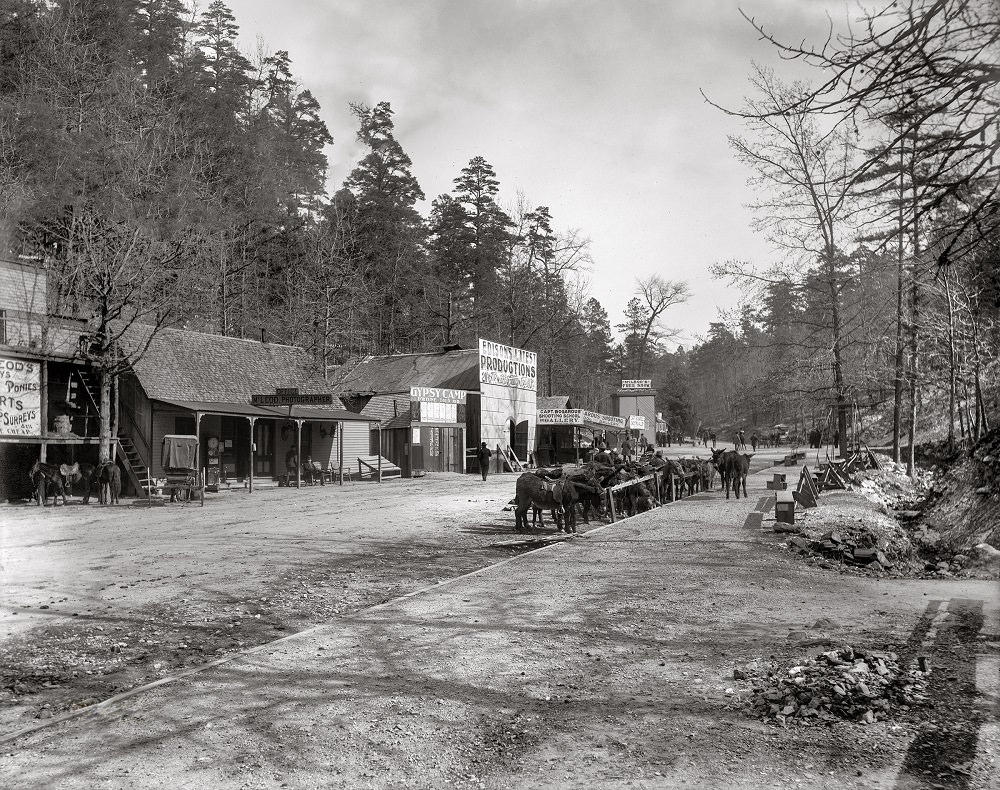 #4 Happy Hollow, Gypsy Camp, Hot Springs, Arkansas, 1901
